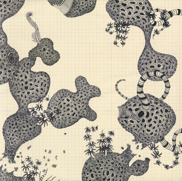 The Shins: Wincing the Night Away (2007)